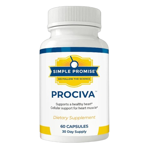 Prociva